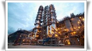 RAYCHEM - рекомендовано профессионалами!